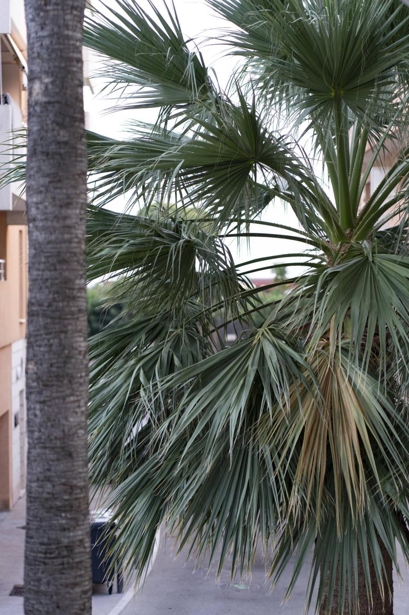 La Petit Maisonette De Manu Cannes Zewnętrze zdjęcie